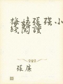 梅姨张强小说在线阅读