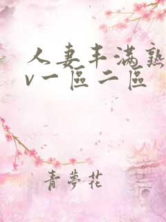 人妻丰满熟妇av一区二区