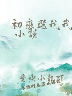 初恋选我我超甜 小说