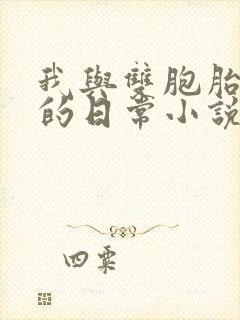 我与双胞胎兄弟的日常小说