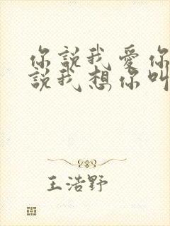 你说我爱你,你说我想你叫什么歌?