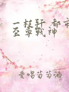 一枝轩 都市之至尊战神