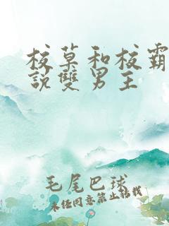 校草和校霸的小说双男主