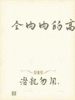 全肉肉的高辣文