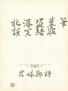 北派盗墓笔记小说完结版