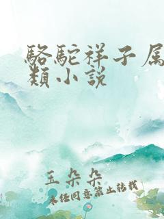 骆驼祥子属于哪类小说