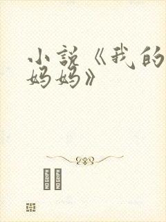 小说《我的风流妈妈》