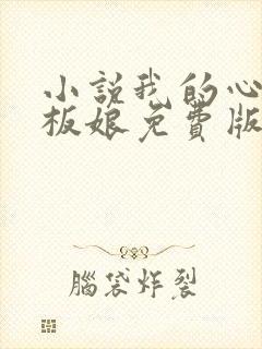 小说我的心动老板娘免费版