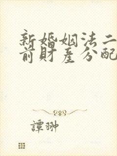 新婚姻法二婚婚前财产分配