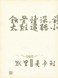 蚀骨情深,前妻太难追听小说