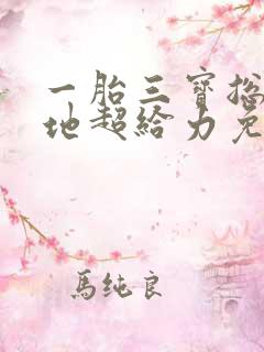 一胎三宝总裁爹地超给力免费阅读