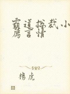 霸道总裁小说推荐言情