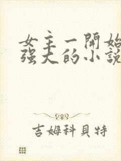 女主一开始就很强大的小说