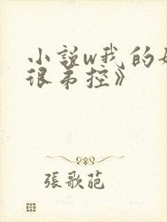 小说w我的姐姐很弟控》