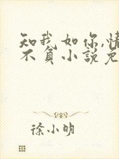 知我如你,情深不负小说免费阅读