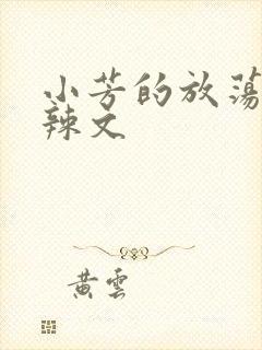 小芳的放荡h肉辣文