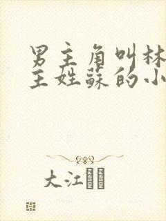 男主角叫林风女主姓苏的小说