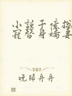 小说千亿总裁独宠替身娇妻全文阅读