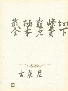武极巅峰txt全本免费下载