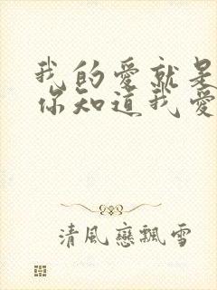 我的爱就是你,你知道我爱你求歌名