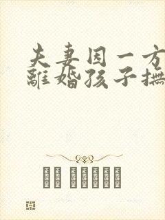 夫妻因一方出轨离婚孩子抚养权怎么判定