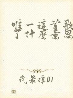 唯一这首歌表达了什么意思