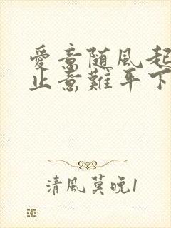 爱意随风起 风止意难平下一句