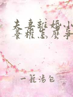 夫妻离婚小孩抚养权怎么争取