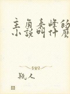 主角秦峰的官场小说叫什么名字啊