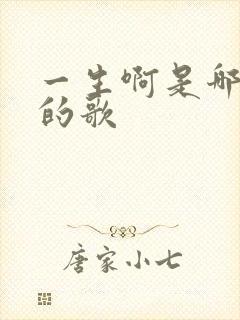 一生啊是哪一年的歌