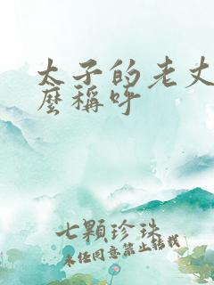 太子的老丈人怎么称呼