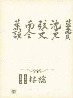 叶南弦沈蔓歌小说全文免费阅读