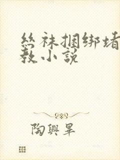 丝袜捆绑堵嘴调教小说