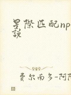 星际匹配np小说