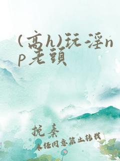 (高h)玩淫np老头