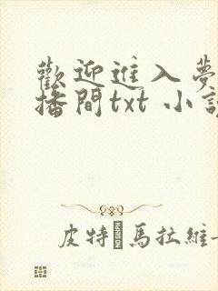 欢迎进入梦魇直播间txt 小说