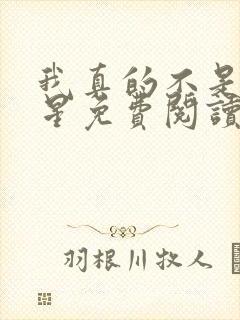 我真的不是大明星免费阅读