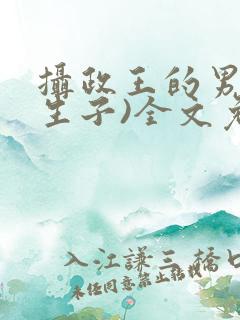 摄政王的男妃(生子)全文免费阅读