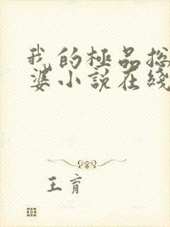 我的极品总裁老婆小说在线阅读