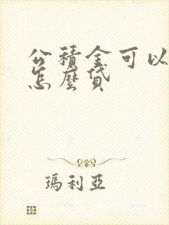 公积金可以贷款怎么贷