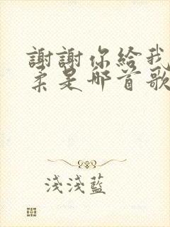 谢谢你给我的温柔是哪首歌的歌词