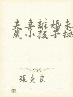 夫妻离婚未满两岁小孩子抚养权归谁