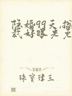 隐婚99天,总裁好眼光免费阅读全文