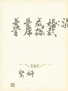 惹爱成婚:染指首席总裁