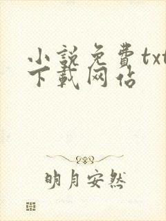 小说免费txt下载网站