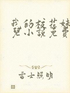 我的校花妹妹雪儿小说免费阅读