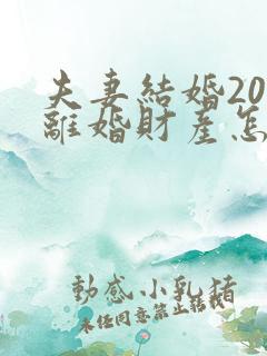 夫妻结婚20年离婚财产怎么分配