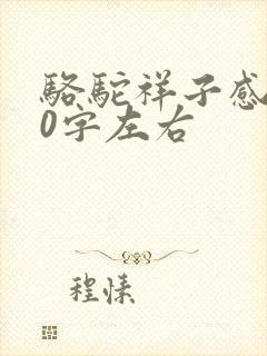 骆驼祥子感受50字左右