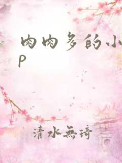 肉肉多的小说np