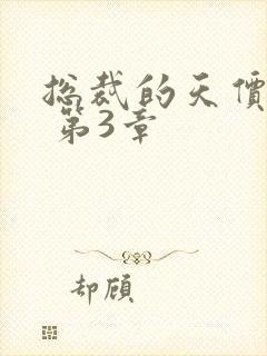 总裁的天价前妻 第3章